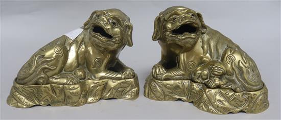 A pair of Chinese Dogs of Fo